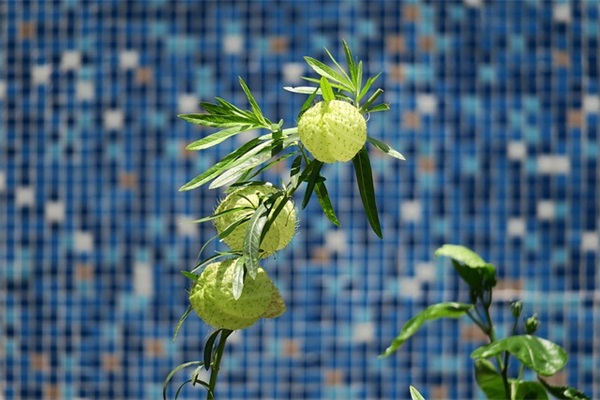 对男朋友说的感人的话 对男朋友说的暖心的话