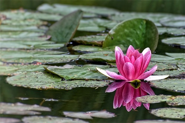 最唯美的空间说说大全