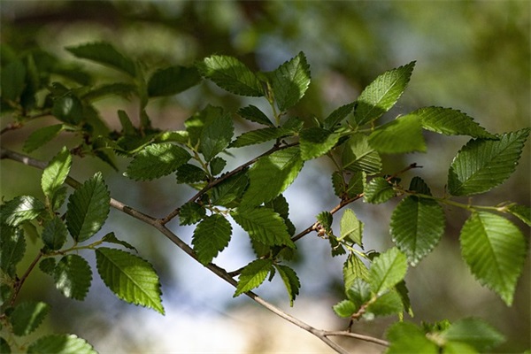 关于万圣节的空间说说85句