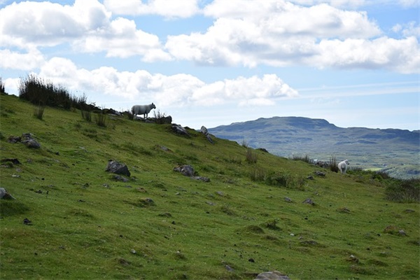 说给女朋友暖心的话 想女朋友的话