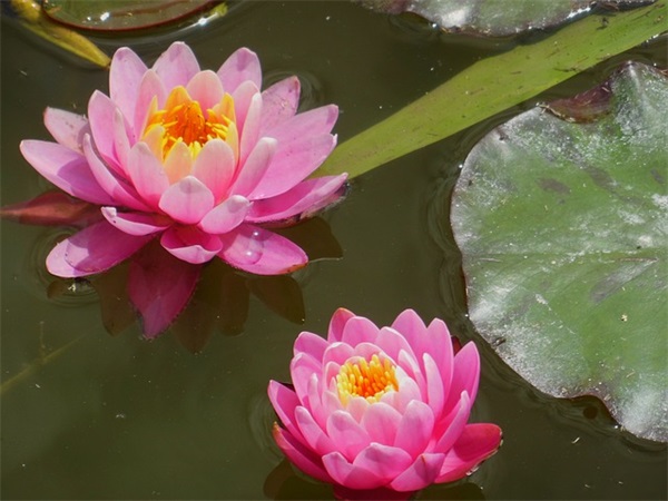 春节收心回归工作正能量说说句子