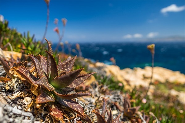 姓朱女孩起名方法，两个字名字怎么起有出息