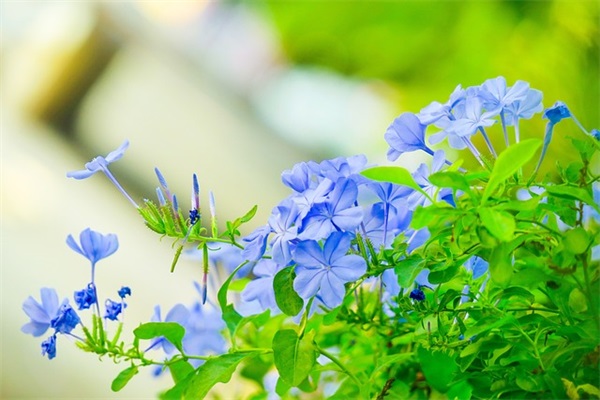 女孩姈字配什么字好听