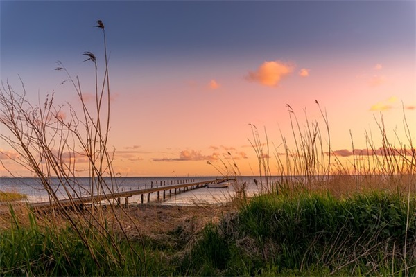 好听时髦的女孩名