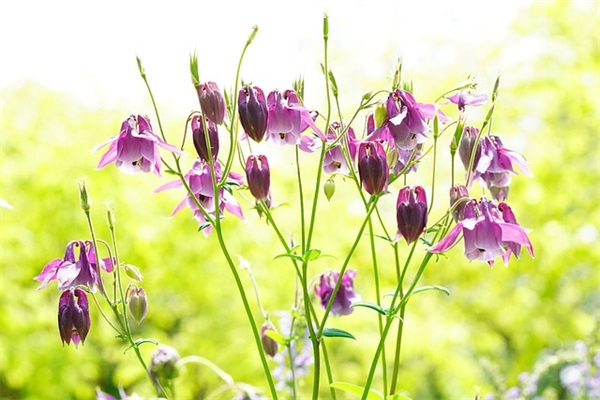 好听的乳名鼠宝宝