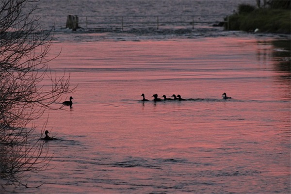 女生游戏名字诗意唯美