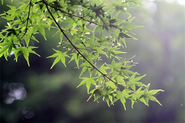 新颖有寓意的小孩起名大全男孩
