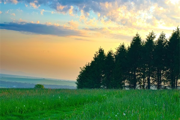 高氏志字辈起名