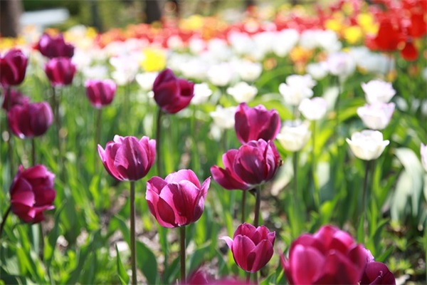 女宝宝古风小名独特