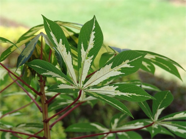 昵称男生简短好听游戏名字