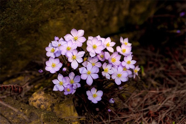 2025龙年宝宝取名宜用字