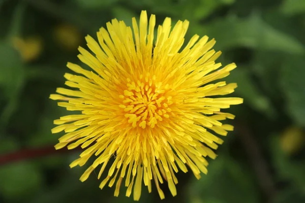 勾搭男人的专用女网名