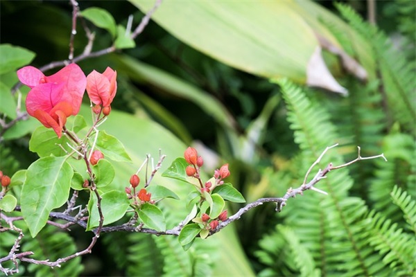 适合女孩起名字的诗句
