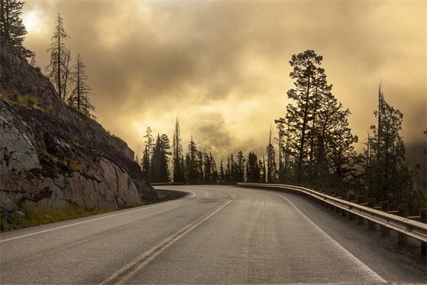 12月份的牛宝宝取名女
