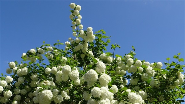 男宝起名：精选富有涵养且悦耳动听的名字，一听倾心！