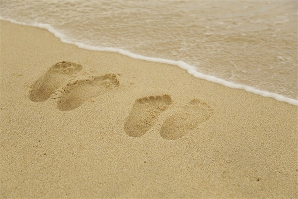 胡姓好听稀少的男孩名字,兔年胡姓男孩名字