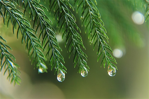 男孩温文尔雅的名字160个，男孩儒雅大气的名字