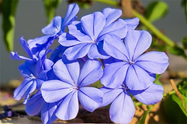 男女宝宝名字大全姓郑2025 内涵丰富起名