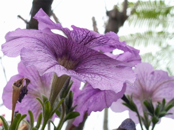 单字女孩名字大全，高贵典雅的女孩名字