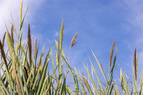 属兔男孩起名大全 吉祥好听的兔宝宝名字