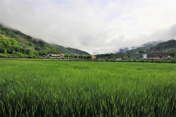 男宝宝取名字大全集2025兔年 最新款男孩篇名字