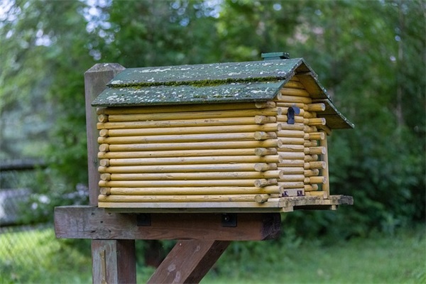 有水有草的兔女孩名字 兔年女孩取名