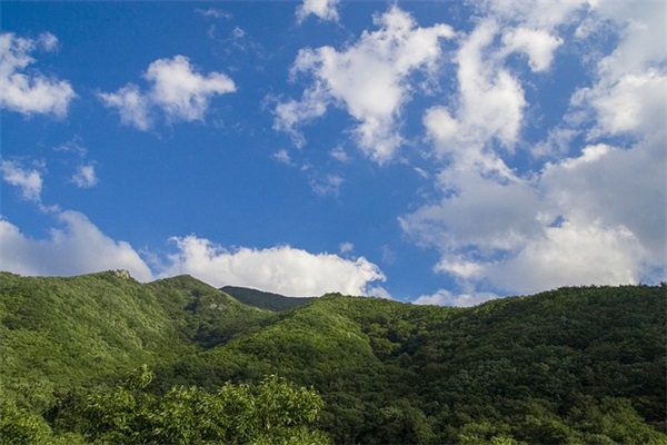 姓赵的女孩名字取名 姓赵女孩最好听的名字
