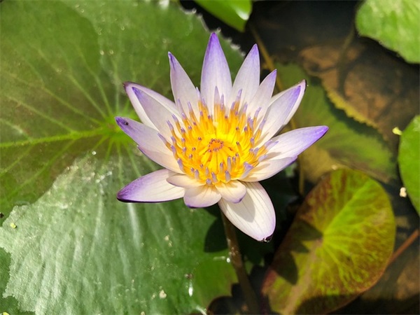 2025年11月28日出生的宝宝好不好 孩子名字大全