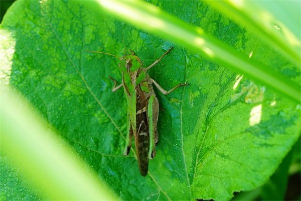 2025年11月29日出生的宝宝是什么命 孩子取名参考