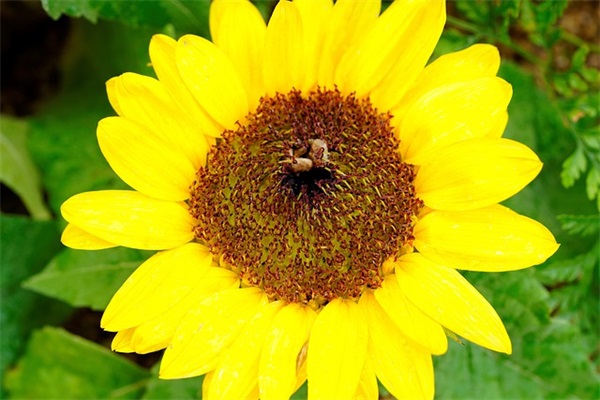 正月十四出生女宝命格如何 今天出生的宝宝五行分析