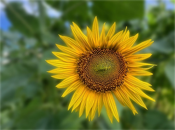 影字取名寓意,影字取名的寓意男孩