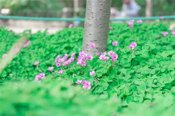 女孩好听到爆的小名