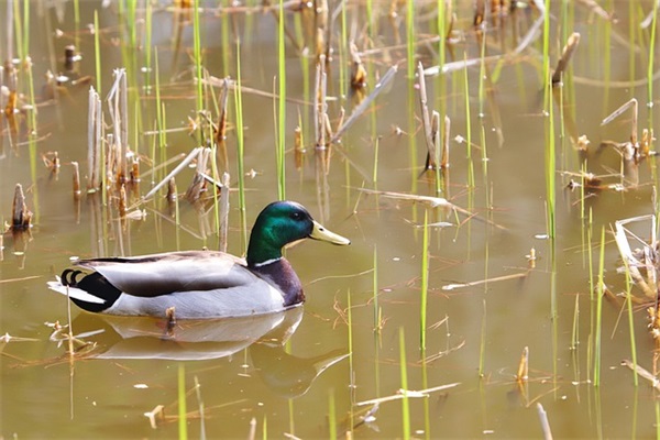 田姓男孩名字大全_姓田的男孩名字_田姓男宝宝起名