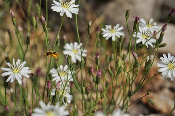 带惜字的男孩名字