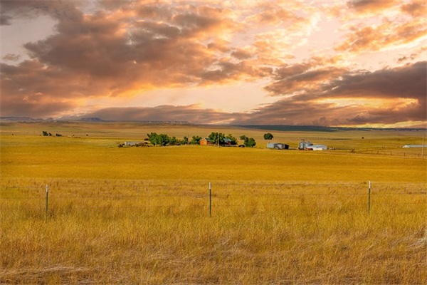 称心如意、智慧多福的比较仙的女孩名字