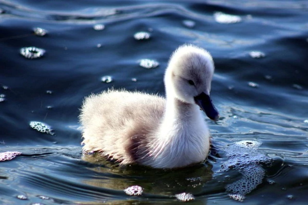 八字缺火男孩叠字小名
