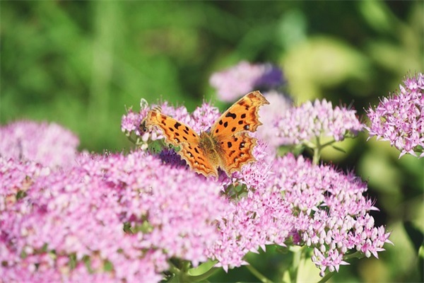 游姓女孩内涵起名方法,女孩怎么起名有好命
