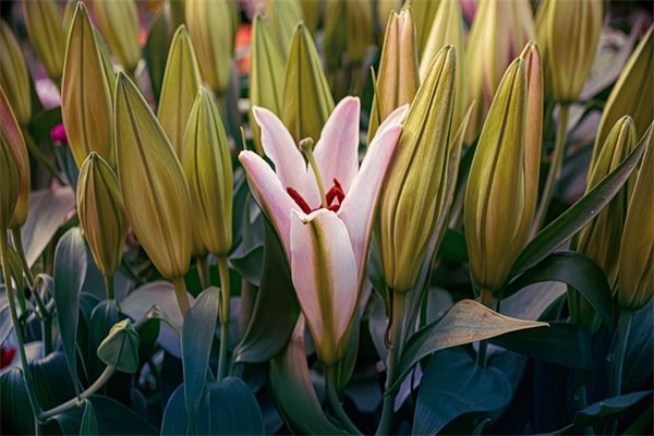 陈姓男孩取名单字，姓陈单字好听的名字男孩