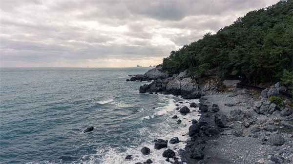 姓许的男孩子取什么名字