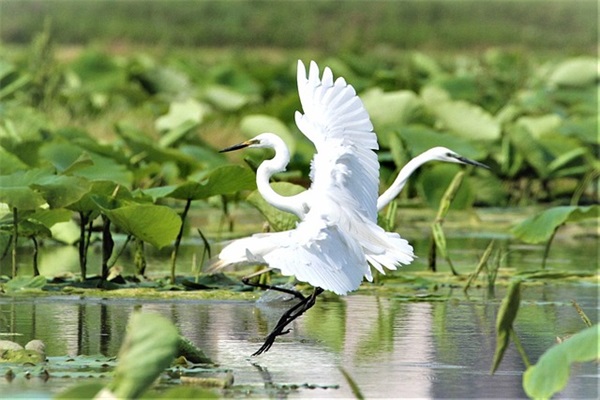 百家姓起名大全：田姓宝宝起名字取名字大全