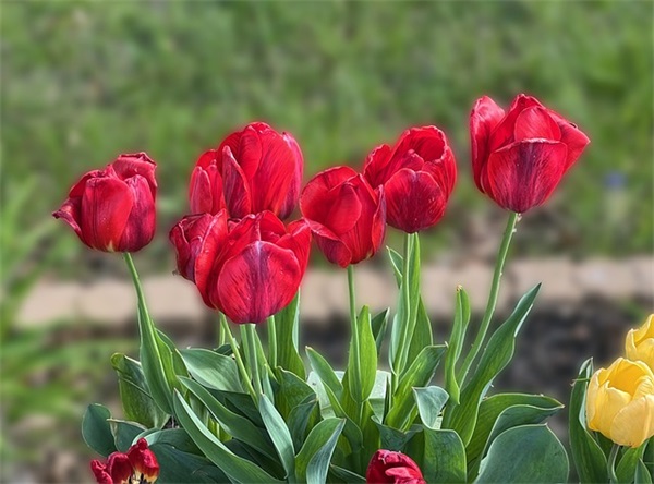 毛姓好听稀少的男孩名字