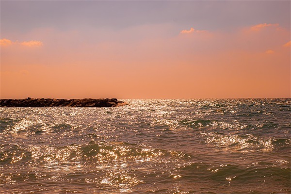 龚姓家字辈起名