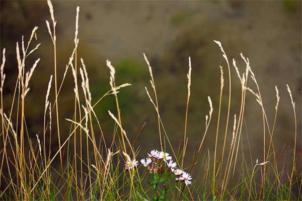 女孩小名2025最新版的
