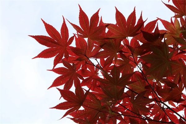 缺金生辰八字女宝宝取名推荐