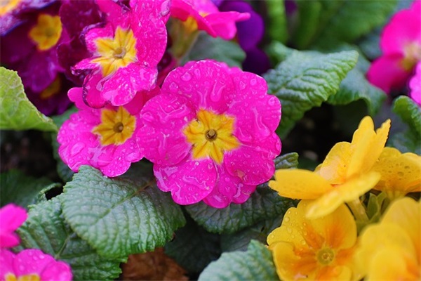 爸爸姓何妈妈姓吕取名男孩，爸姓何妈姓吕男孩