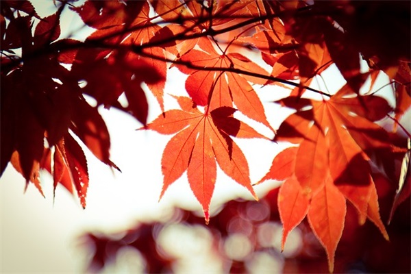 孩子起名字女孩：惊美人间的女孩名