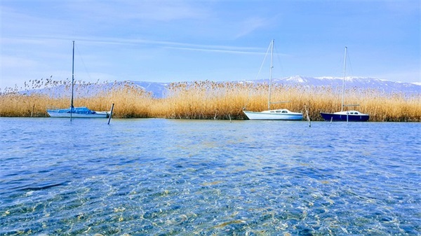 宝宝取名：袁姓男孩好听稀少名字，姓袁的男孩名字