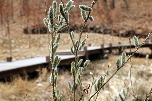 2025新生宝宝取名字