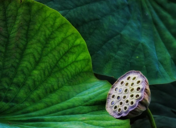 寓意好听的字有哪些,男孩如何起名好听？