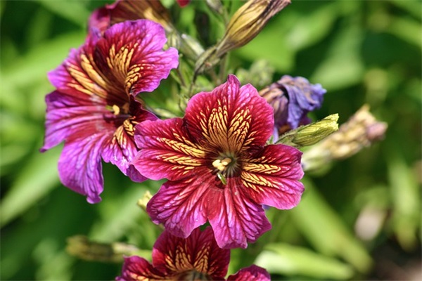 笔画少寓意佳的宝宝名